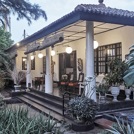 The Icebear Guesthouse-3